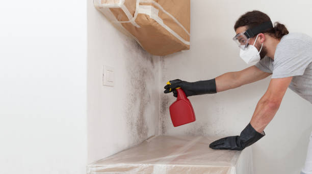 Professional Bathroom Mold Removal technician working in The Plains, VA