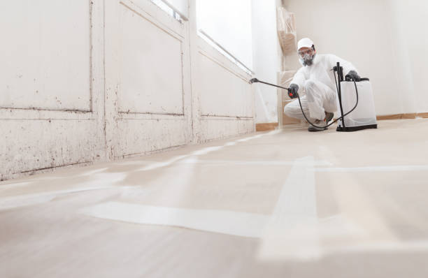 24/7 Emergency Bathroom Mold Removal experts in The Plains, VA